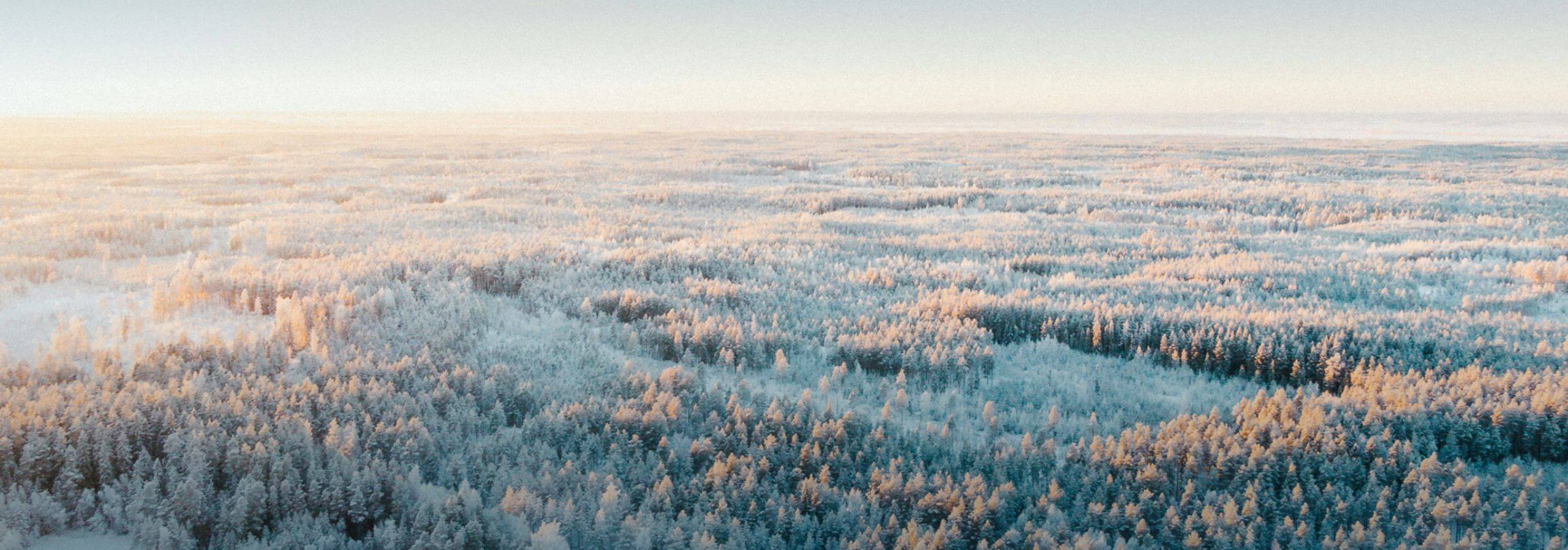Aerial view of a snowy Finnish forest at sunrise